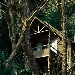 https://panchavadi-farm-stay.kerala-hotels.net